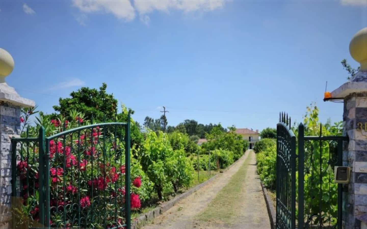 Villa Casa Azul, Safe Private House ♡ Portugal Tomar! Exterior foto